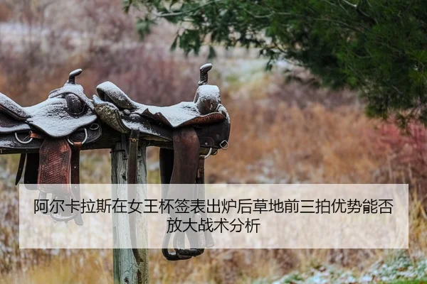 a-er-ka-la-si-zai-nv-wang-bei-qian-biao-chu-lu-hou-cao-di-qian-san-pai-you-shi-neng-fou-fang-da-zhan-shu-fen-xi-1-748.jpg